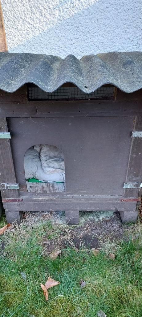 Stevig houten hok voor kat, hond, kippen, Dieren en Toebehoren, Hondenhokken, Gebruikt, Ophalen