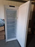 Grote kastdiepvriezer, Elektronische apparatuur, Vriezers en Diepvrieskisten, Ophalen, Gebruikt