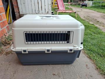Bench voor kat of kleine hond  beschikbaar voor biedingen