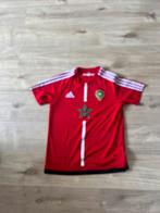maillot de foot maroc, Kleding | Heren, Sportkleding, Maat 52/54 (L), Ophalen of Verzenden, Zo goed als nieuw, ADIDAS