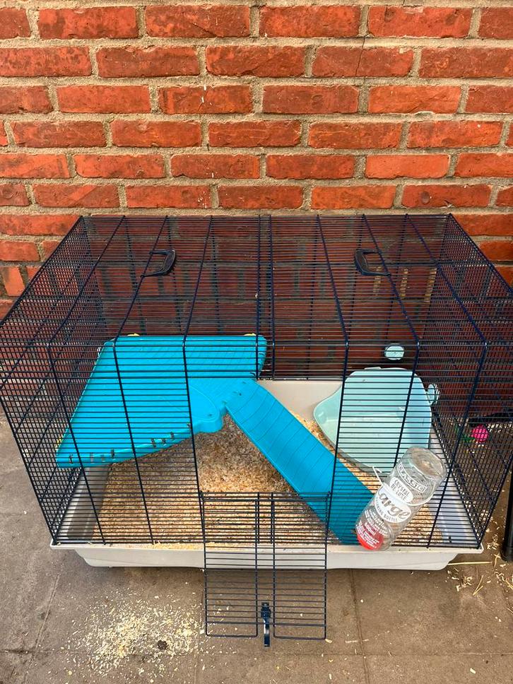 Cage pour rongeurs, furets et lapins, Animaux & Accessoires, Rongeurs & Lapins | Cages & Clapiers, Comme neuf, Cage, 60 à 90 cm