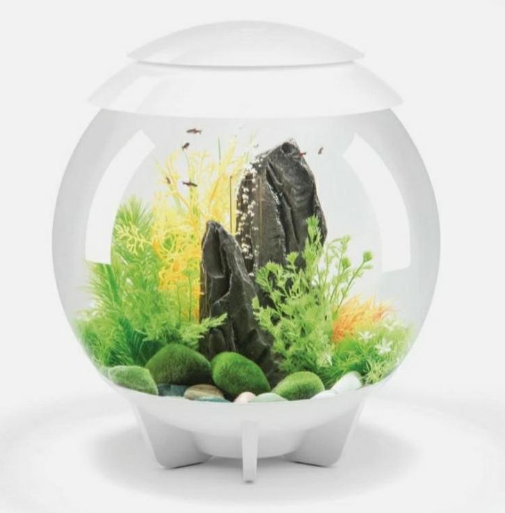 Mooi aquarium Biorb Halo MCR 30 wit, Dieren en Toebehoren, Vissen | Aquaria en Toebehoren, Zo goed als nieuw, Leeg aquarium, Ophalen