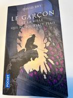 Roman jeunesse - Le garçon et la ville qui ne souriait plus, Boeken, Kinderboeken | Jeugd | 13 jaar en ouder, Ophalen, Gelezen