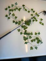 Zweep, Dieren en Toebehoren, Ophalen, Gebruikt, Recreatie