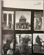 Patrick Dougherty - 2001 (sculptures filantes, branches,, Enlèvement ou Envoi, Comme neuf, Patrick Dougherty