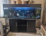 Mooie maat aquarium te koop, Dieren en Toebehoren, Ophalen, Zo goed als nieuw