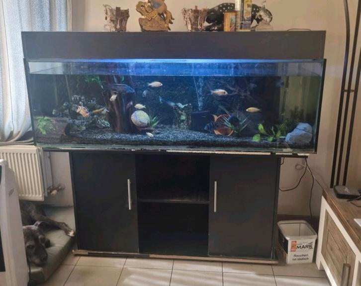Mooie maat aquarium te koop, Dieren en Toebehoren, Vissen | Aquaria en Toebehoren, Zo goed als nieuw, Ophalen