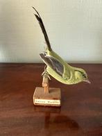 Opgezett Yellow Warbler, Verzenden, Vogel, Opgezet dier