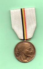 Médaille de la résistance MNB 1940, Autres, Enlèvement ou Envoi, Ruban, Médaille ou Ailes