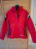 Ski jas dames S, Kleding | Dames, Wintersportkleding, Ophalen, Zo goed als nieuw, Maat 36 (S), Pak