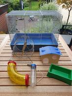 Hamsterkooi, Dieren en Toebehoren, Kooi, Gebruikt, Minder dan 75 cm, Hamster