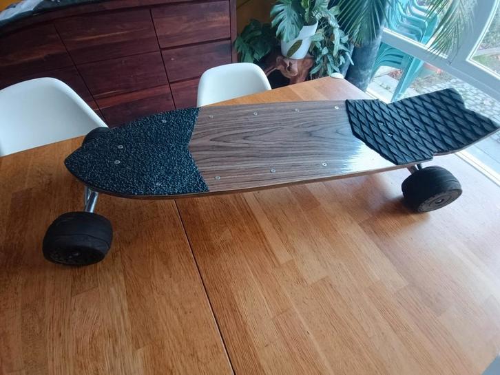 electric skateboard, Sport en Fitness, Skateboarden, Gebruikt, Skateboard, Ophalen of Verzenden