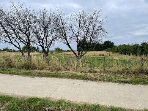 Weide te huur voor Paarden of Pony's, Dieren en Toebehoren, Stalling en Weidegang