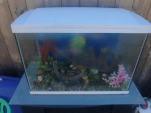 Te koop dringend wegens verhuizing !!, Dieren en Toebehoren, Vissen | Aquaria en Toebehoren, Zo goed als nieuw, Ophalen