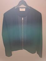 Hugo Boss  jasje, Ophalen of Verzenden, Maat 46/48 (XL) of groter, Jasje