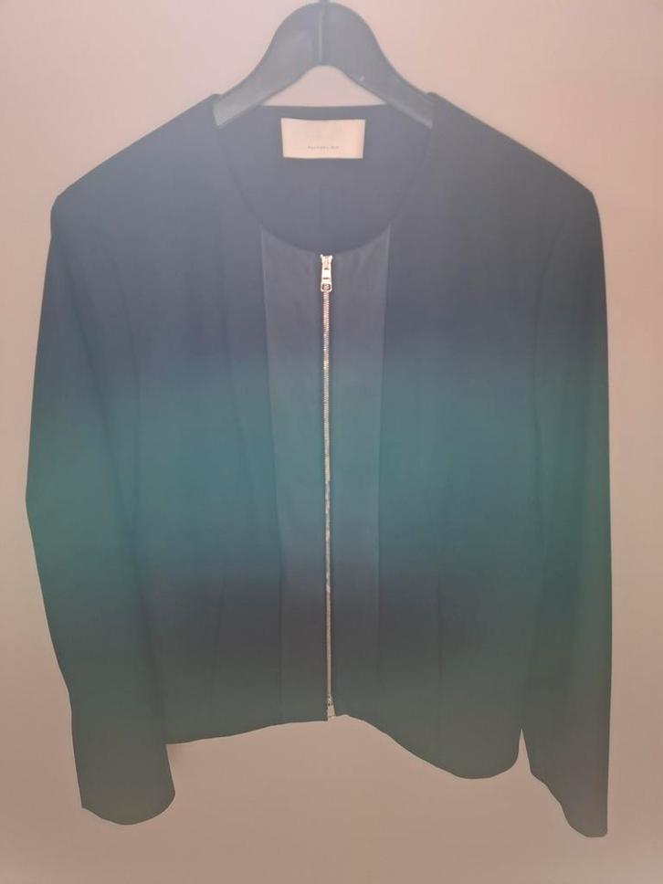 Hugo Boss  jasje, Kleding | Dames, Jasjes, Kostuums en Pakken, Jasje, Maat 46/48 (XL) of groter, Ophalen of Verzenden