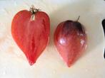 5 graines de tomates  Crushed heart, Envoi, Printemps, Plein soleil, Graine