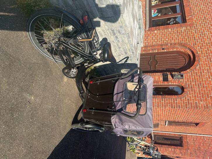 Vogue superior 3 (batterij defect), Fietsen en Brommers, Fietsen | Driewielfietsen, Gebruikt, Ophalen