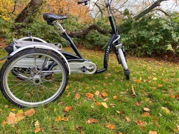 Electrische driewieler: Van Raam Maxi Comfort beschikbaar voor biedingen