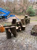 Bois de chauffage, Enlèvement, Hêtre, Troncs d'arbres