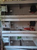 Volieres, Dieren en Toebehoren, Ophalen, Gebruikt, Hout, Volière