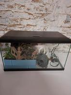 Aquarium met toebehoren, Enlèvement