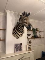 Zebra kop, Antiek en Kunst, Ophalen