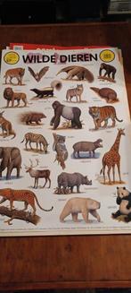 Educatieve poster dieren, Ophalen of Verzenden