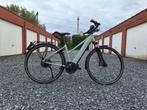Riese & Müller Roadster Mixte Vario HS (Speedpedelec), Fietsen en Brommers, Zo goed als nieuw, Minder dan 47 cm, 50 km per accu of meer