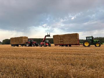Maisbalen Stro hooi voordroog bieten  beschikbaar voor biedingen