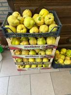 POIRES DE COINGS (magnifiques), Diversen, Levensmiddelen, Ophalen