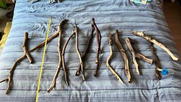 Manzanita hout aquarium beschikbaar voor biedingen