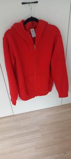 B&C : rode katoenen hoodie pull, M, Kleding | Dames, Ophalen of Verzenden