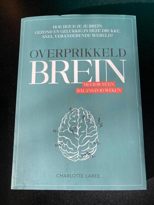 Overprikkelend brein - Charlotte Laber, Boeken, Advies, Hulp en Training, Nieuw, Ophalen of Verzenden