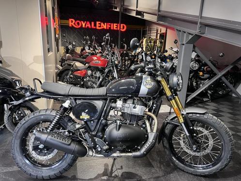 ROYAL ENFIELD Bear 650 Golden Shadow, Motoren, Motoren | Royal Enfield, Bedrijf, Chopper, 12 t/m 35 kW