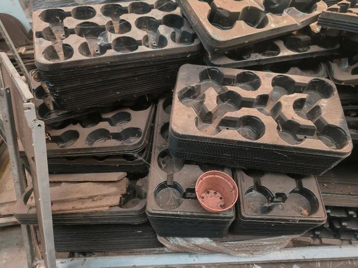 Tray bloempotten, Tuin en Terras, Bloempotten, Gebruikt, Kunststof, Minder dan 25 cm, Rond, Ophalen