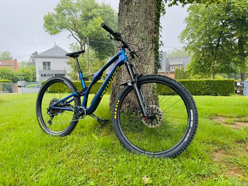 Specialized stumpjumper comp Carbon, Fietsen en Brommers, Fietsen | Mountainbikes en ATB, Ophalen