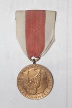 Poolse medaille, Ophalen of Verzenden, Landmacht, Lintje, Medaille of Wings