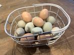 Eieren te koop €  0,20, Dieren en Toebehoren, Pluimvee | Toebehoren, Zo goed als nieuw, Ophalen