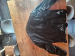 Veste cuir moto bmw, Motoren, Kleding | Motorkleding, Ophalen of Verzenden