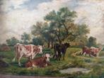 Antiek schilderij 'koeien', olieverf, Van Rijswijck, 1903, Ophalen
