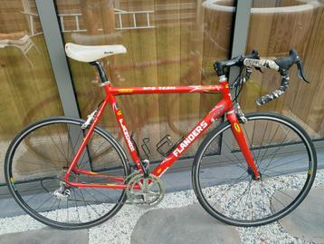 Koersfiets maat 55-56 beschikbaar voor biedingen