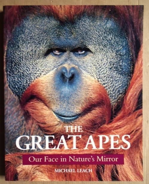 The Great Apes: Our Face in Nature's Mirror - 1997 - M.Leach, Boeken, Natuur, Gelezen, Overige onderwerpen, Ophalen of Verzenden