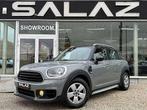 MINI Cooper Countryman Mini Countryman 1.5 Cooper OPF, Argent ou Gris, Achat, Euro 6, Entreprise