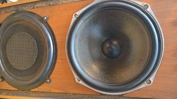2 Woofer Celestion Ditton 66 + 2 passif