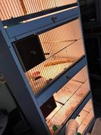 Kweekkooien met LED verlichting, Ophalen, Zo goed als nieuw, Hout