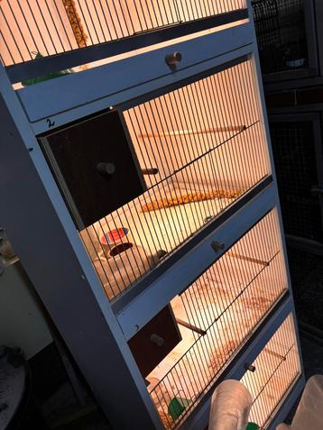Kweekkooien met LED verlichting beschikbaar voor biedingen