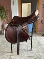Saint lourdes springzadel 17,5’’, Dieren en Toebehoren, Ophalen, Gebruikt, Springen