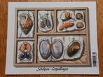 België: Schelpen - BL122, Postzegels en Munten, Overig, Ophalen of Verzenden, Orginele gom, Zonder stempel