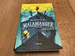 Thomas Taylor - Het geheim van de Malamander, Enlèvement, Thomas Taylor